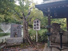 -井之头恩赐公园