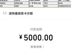 -上海波特曼丽思卡尔顿酒店
