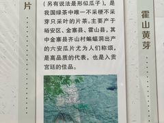 -皖西博物馆