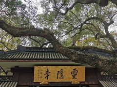 -灵隐飞来峰景区