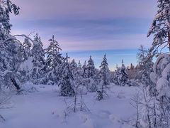 -雪谷