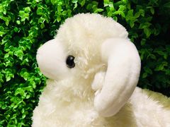 -九府羊·鲜羊火锅·烤串(新华路店)