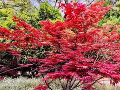 -苏州河梦清园环保主题公园