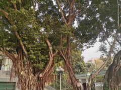 -人民公园(罗湖区)