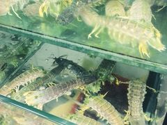 鲤鱼门海鲜街-鲤鱼门海鲜街