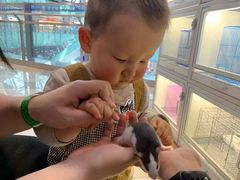 -鹏欣水游城