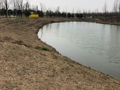 -东郊湿地公园