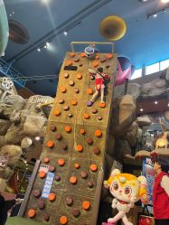 -卡通尼·Safari非洲探索乐园·生日会(金桥国际商业广场店)