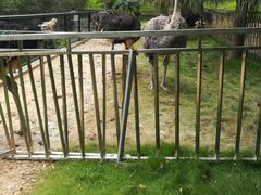 -泉州海丝野生动物世界