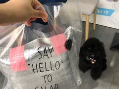 -蜜蜂小象·榴莲千层蛋糕(时代汇11栋店)