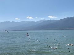 -大理洱海