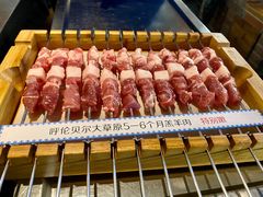 呼伦贝尔羊肉串-很久以前羊肉串(昌里路三钢里店)