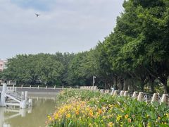 -黄埔古港