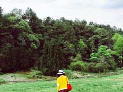 -保利石象湖景区