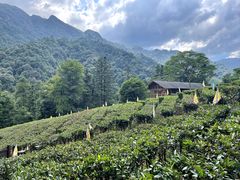 -姑婆山旅游区