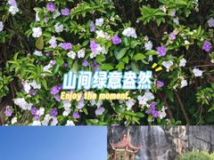 -金鸡山公园