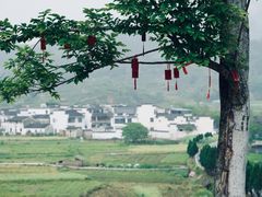 -呈坎景区