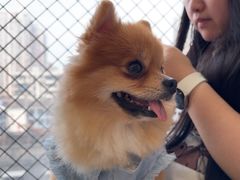 -怪兽屋·羊驼·猫咖·狗咖(俊华广场店)