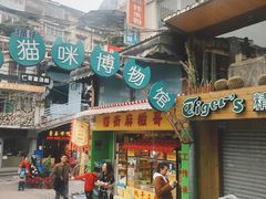 -猫咪博物馆(顶澳仔猫街店)