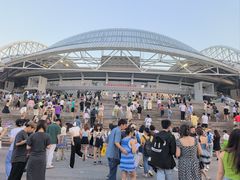 -沈阳奥林匹克体育中心