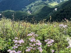 -白草畔自然风景区
