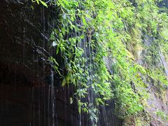 -赤水丹霞旅游区·佛光岩