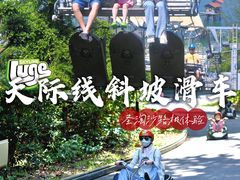 -圣淘沙天际线斜坡滑车