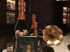 -LONG BAR 廊吧(外滩华尔道夫酒店)