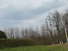 -白鹭湾湿地公园