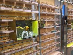 -MUJOSH木九十眼镜(苏州中心店)