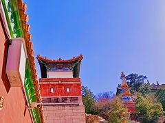 -颐和园