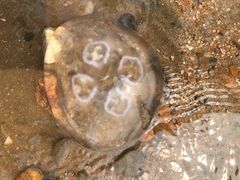 -东戴河风景区-止锚湾