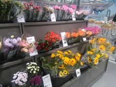 -鹿岛生活(熙地港店)
