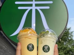 -茉酸奶(春熙路店)