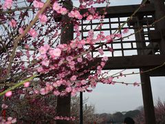 -苏州上方山国家森林公园
