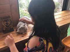 -海边的猫和咖啡馆