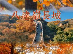 -桔子文创·企业团建·活动策划·拓展会议
