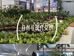 -青岛胶东国际机场