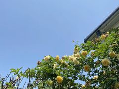 -夏河溪乡野公园