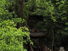 -凤栖山