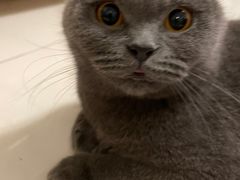 -达爱动物医院·犬猫分区·CT·复杂眼科(远洋山水分院)
