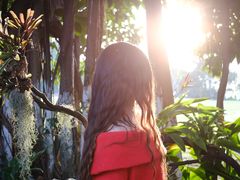 -东莞植物园