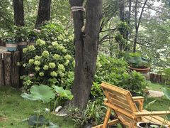 -沂蒙山旅游区云蒙景区(蒙山国家森林公园)