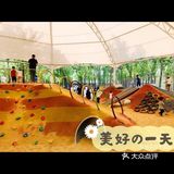 娃娃感受自然，放手奔跑的一天