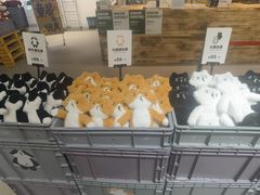 -多抓鱼循环商店(虹桥天地店)