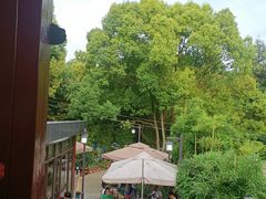 -乖乖佳花园山庄·私房菜(阿哈湖公园店)