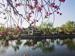 -无锡蠡湖国家湿地公园-蠡园