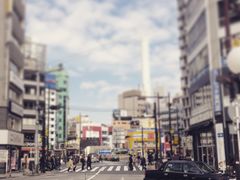 -涩谷区