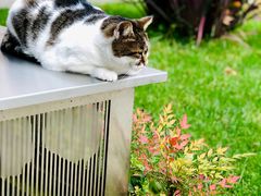 -土耳其与伊斯兰艺术博物馆