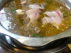 -鲜椒鱼·雅安地标性美食